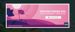 domainesia hosting murah diskon selamanya